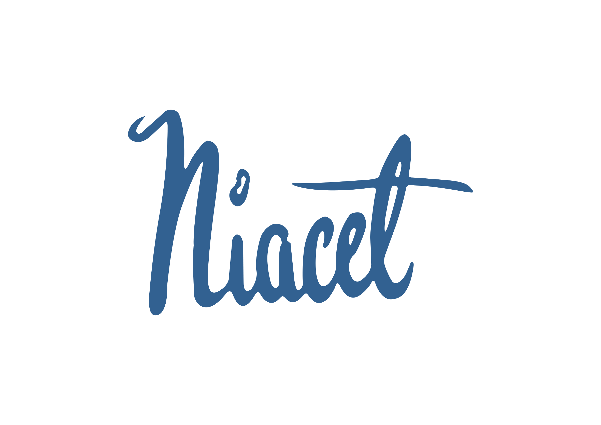 Picture of the Niacet's logo.