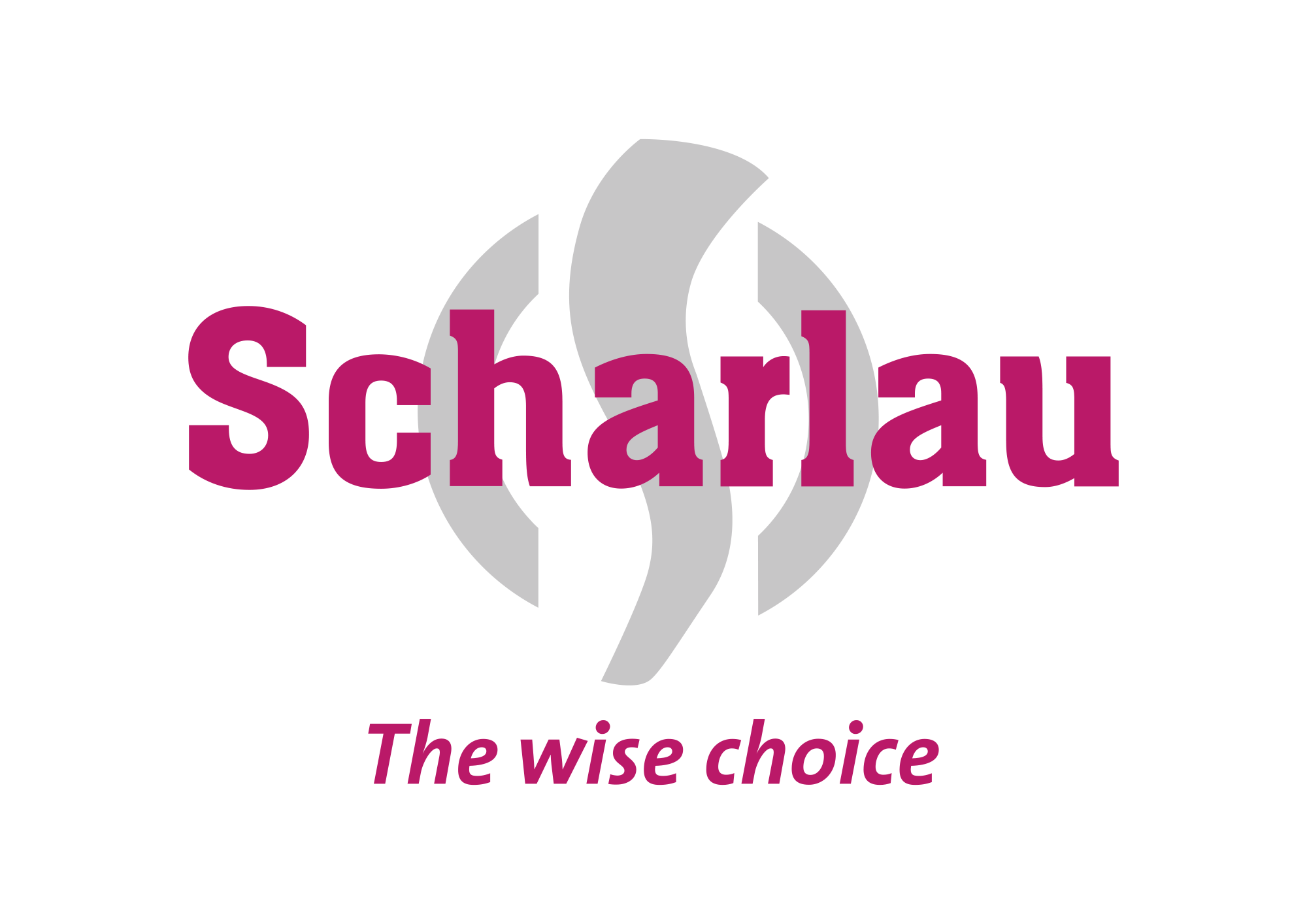 Picture of the ScharLab's logo.